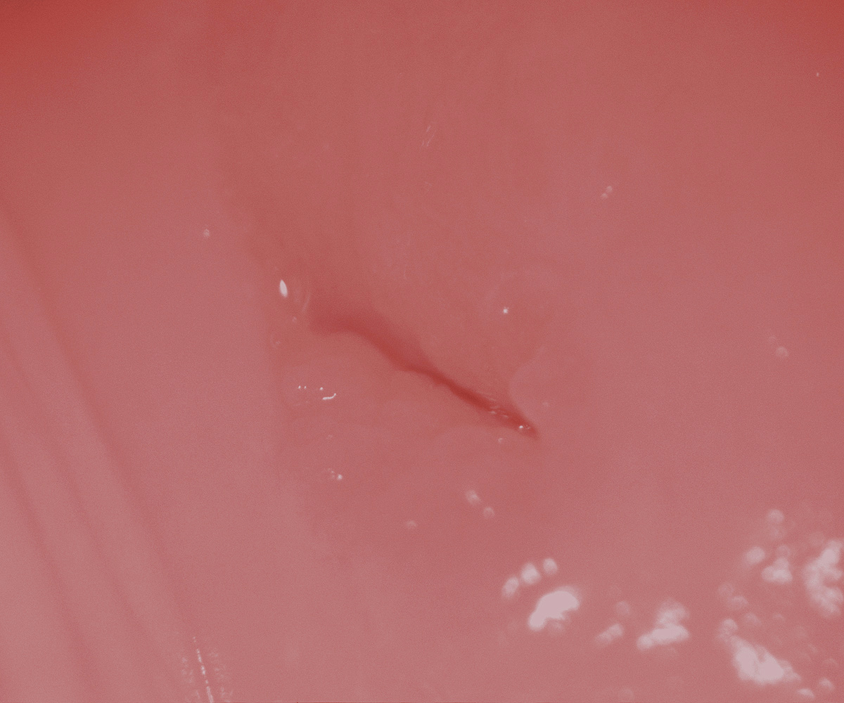PINK_6.jpg