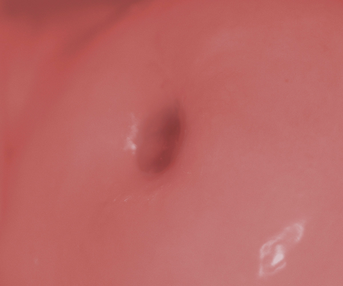 PINK_9e.jpg
